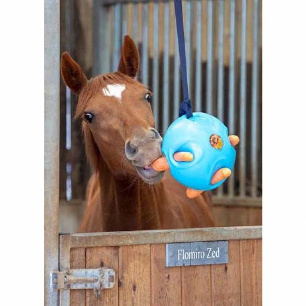 Shires Carrot Ball