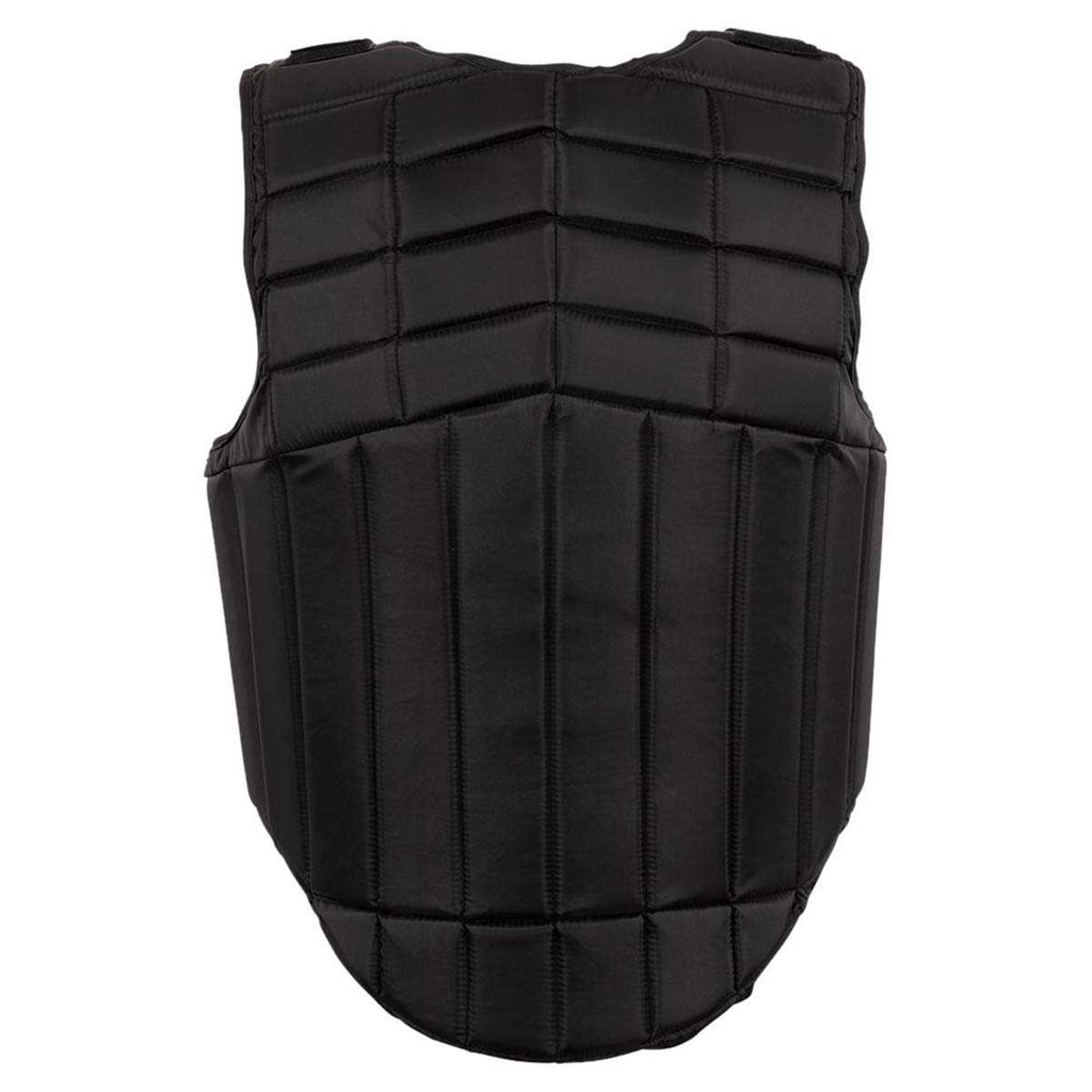 BR Carapax Bodyprotector