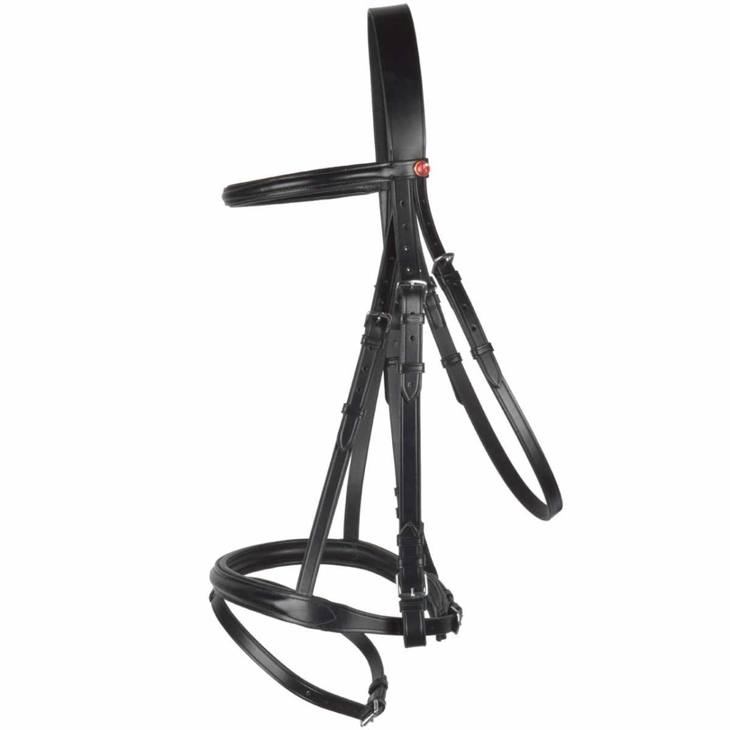 kieffer coldblood bridle