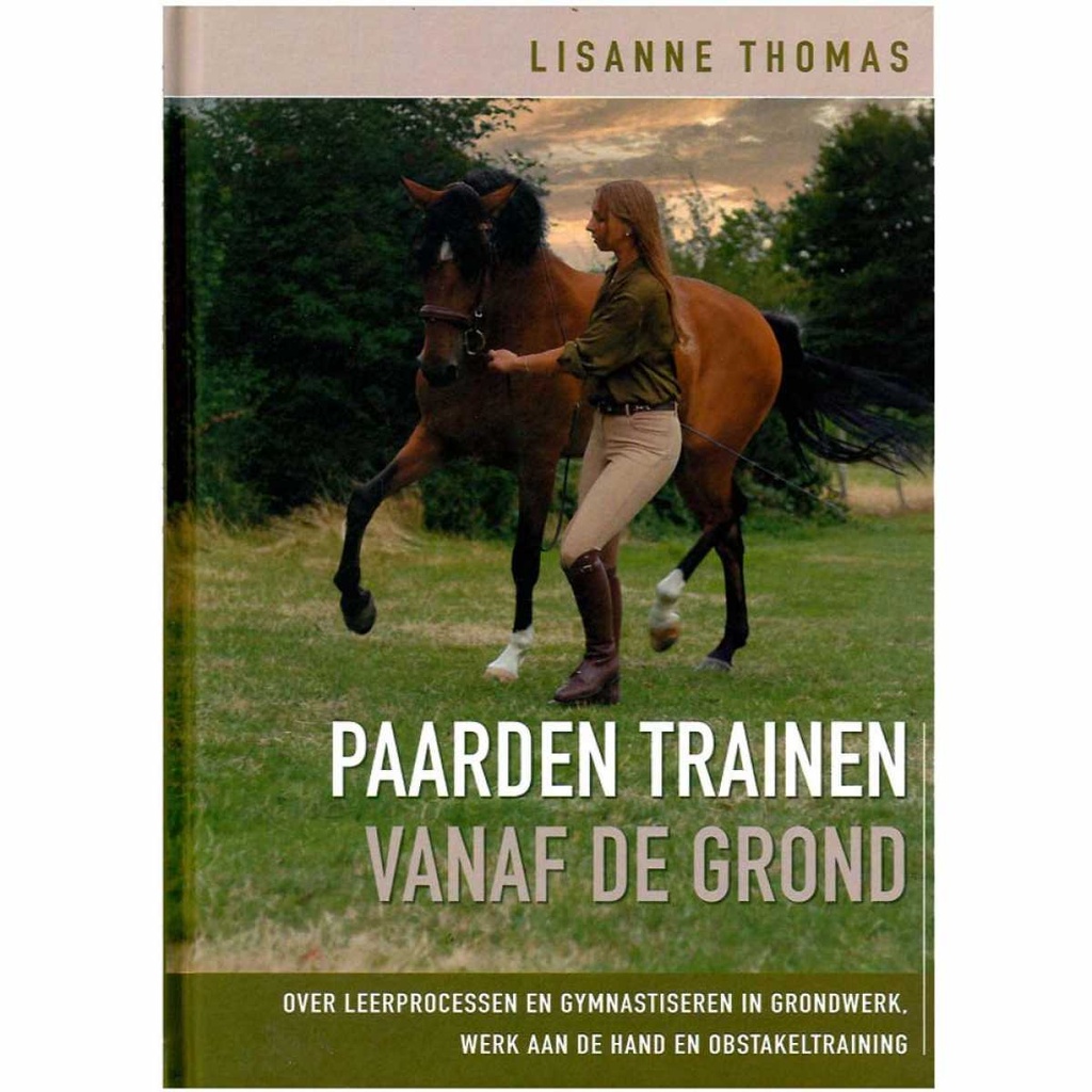 Training horses from the ground