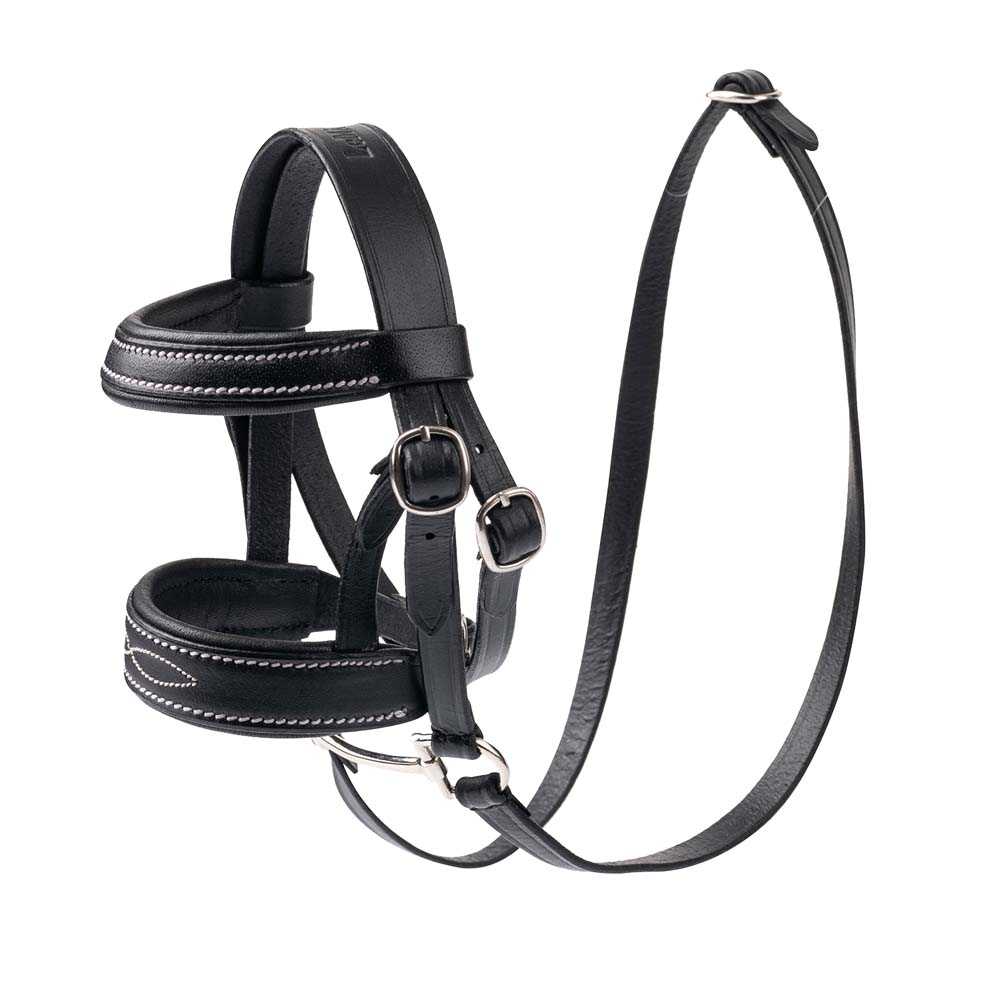 Lemieux Mini Pony Hoofdstel