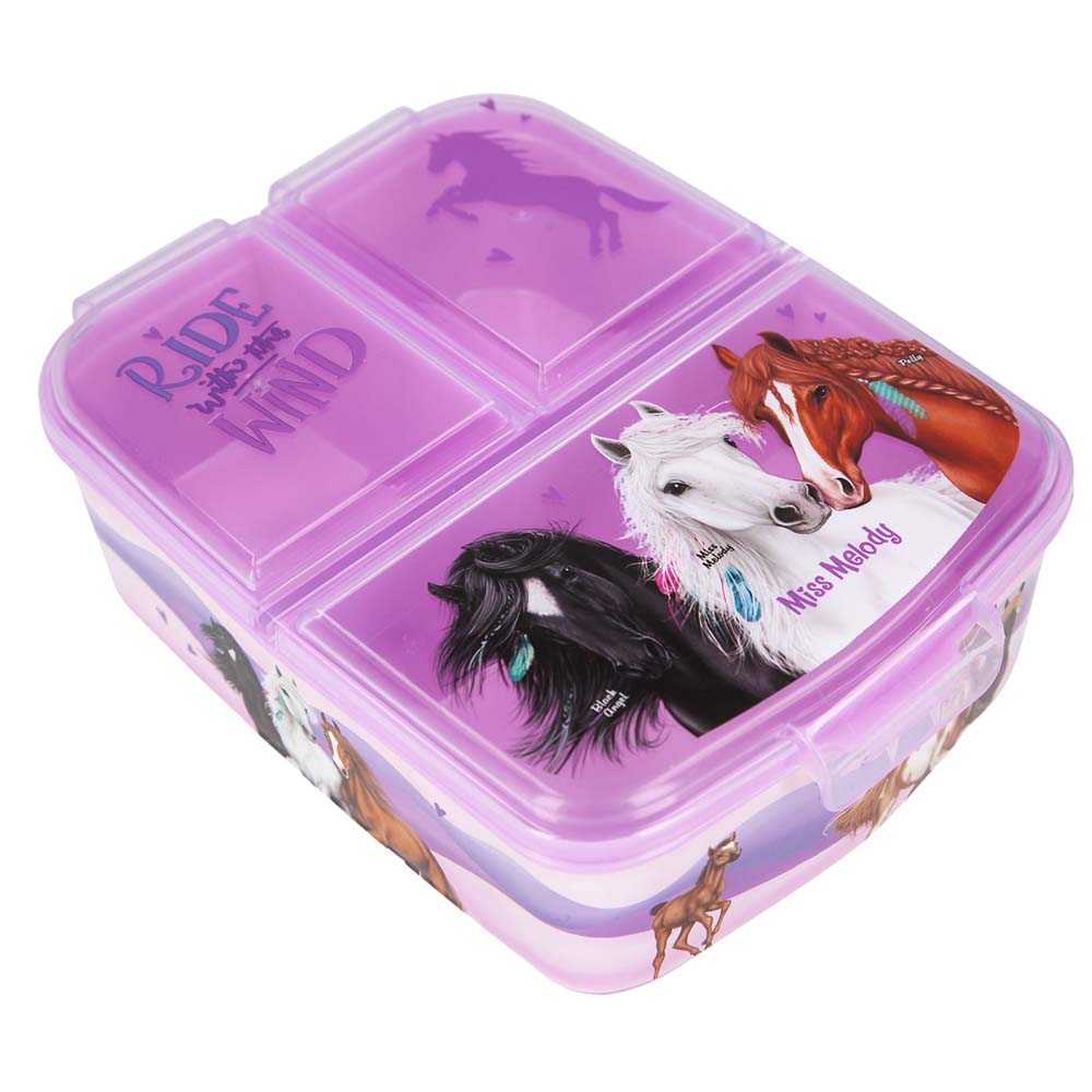 Miss Melody lunchbox