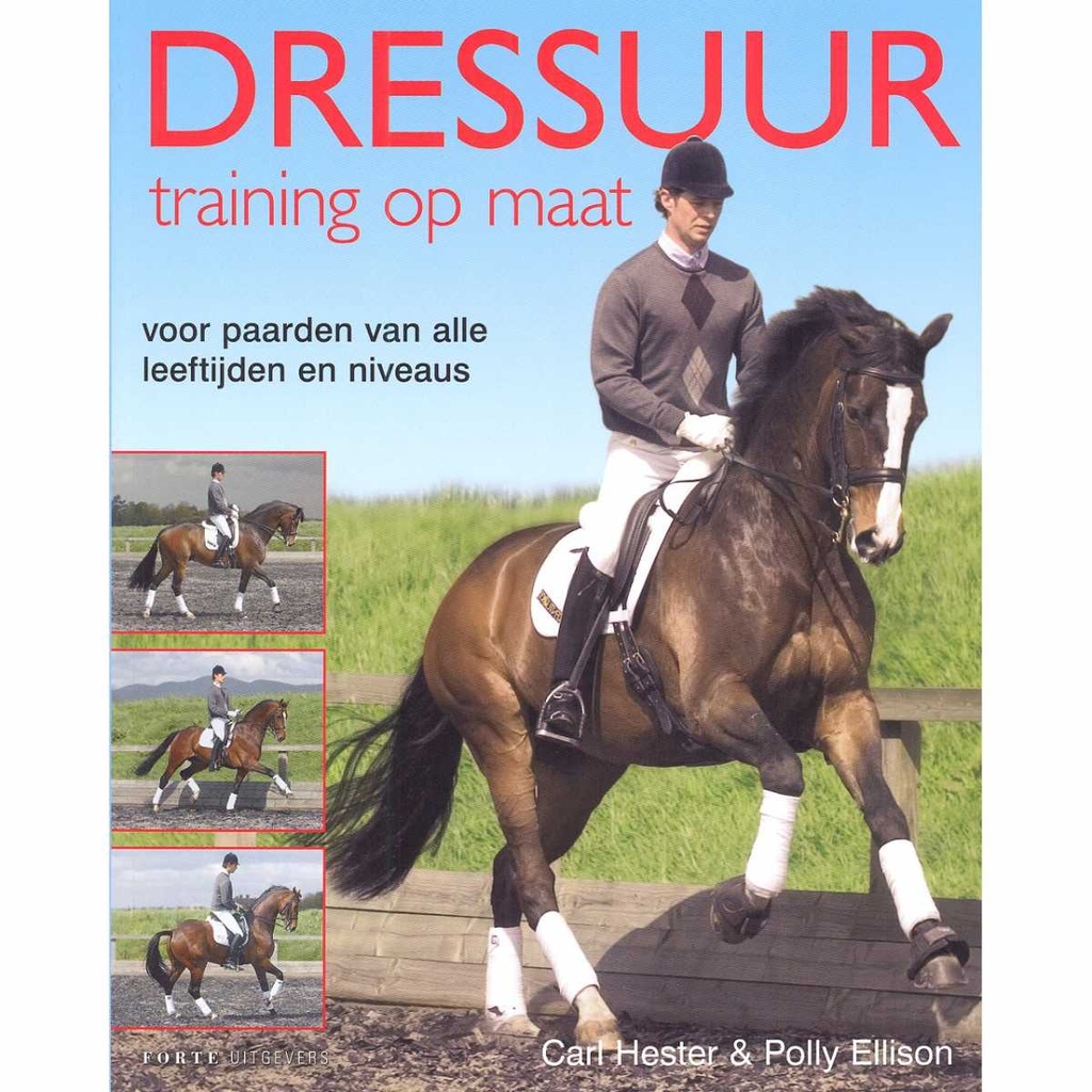 Dressage, formation sur mesure