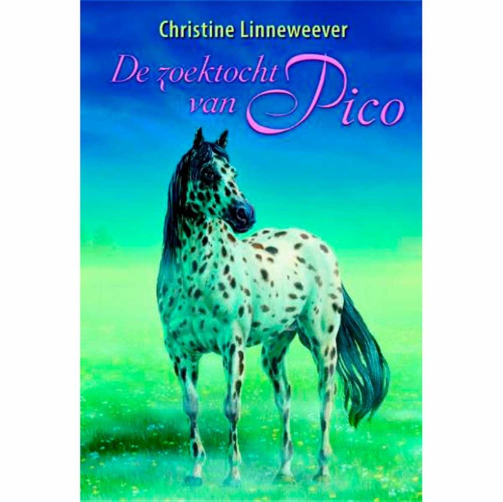 De zoektocht van Pico Nederlands boek