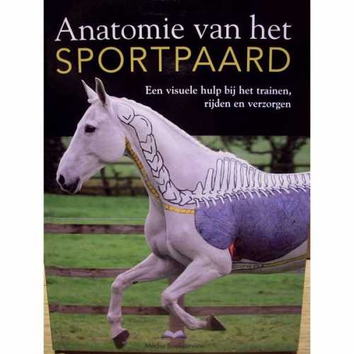 Anatomie van het sportpaard