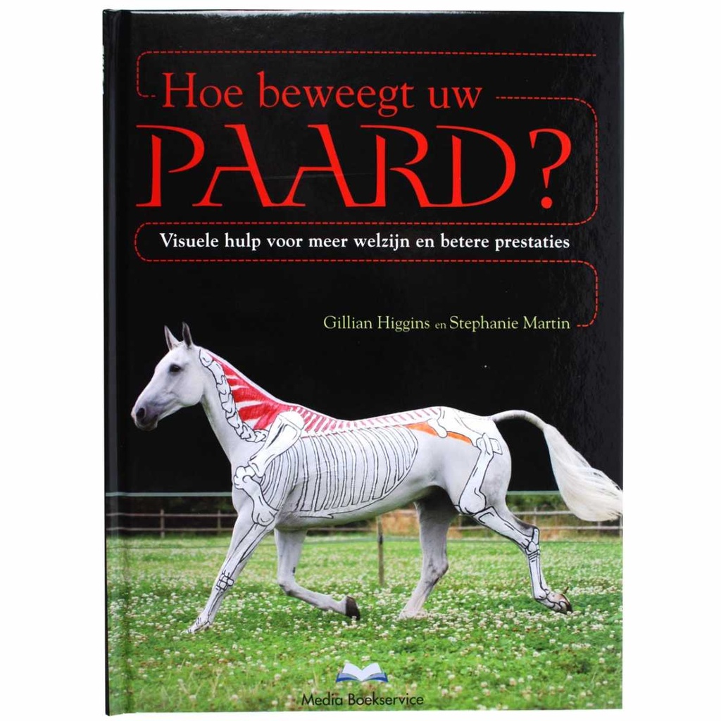 Comment déplacer votre cheval?