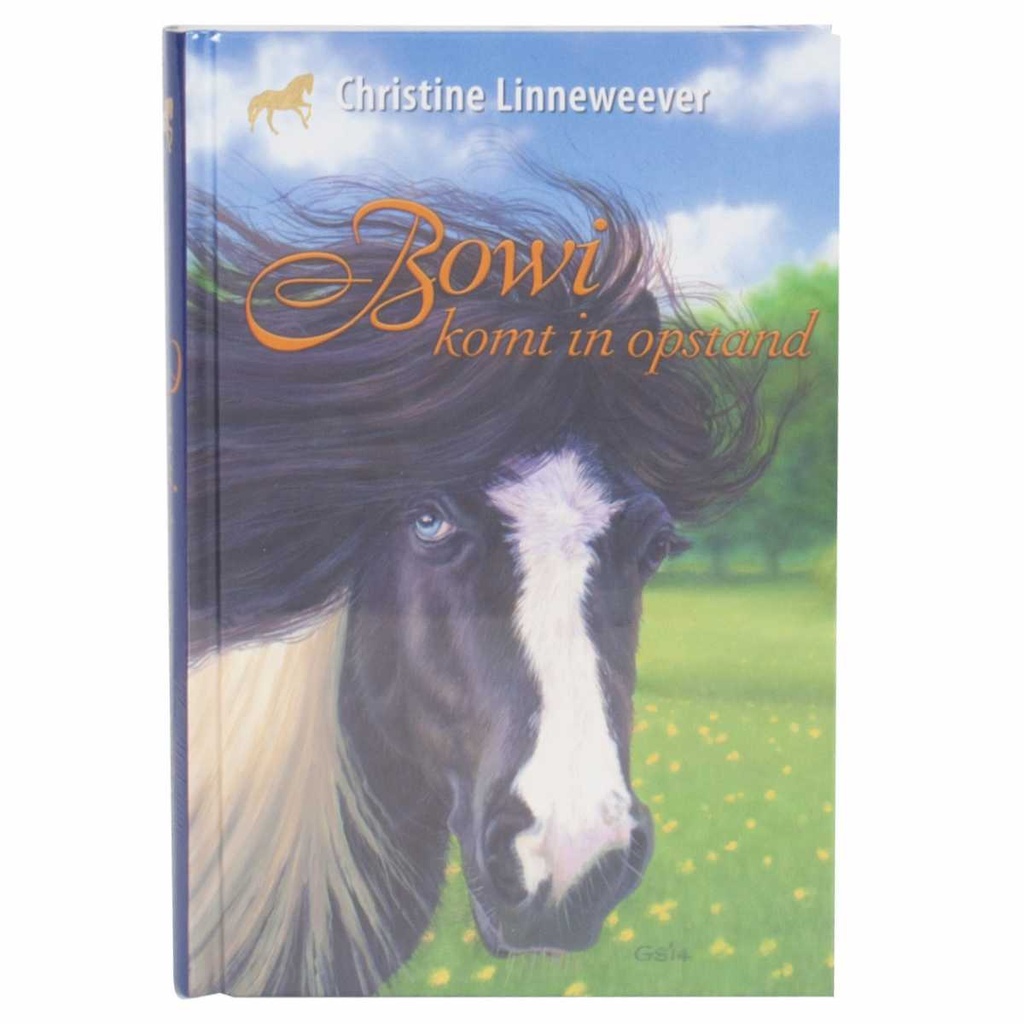 Bowi komt in opstand