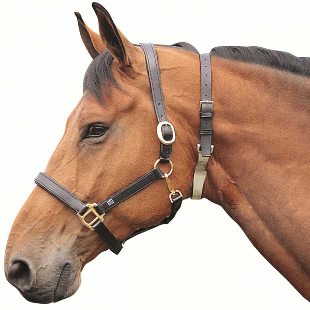 Collier aluminium
