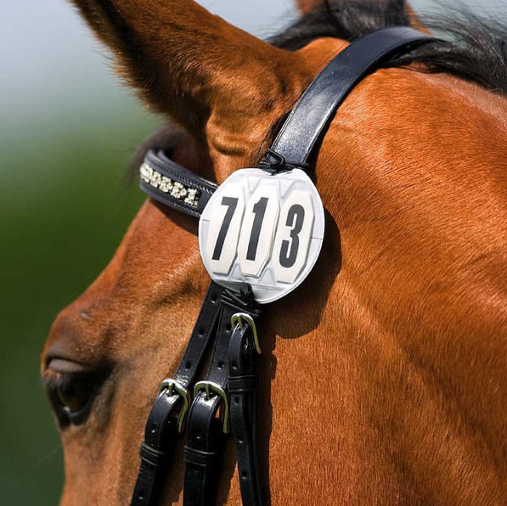 Start number bridle round