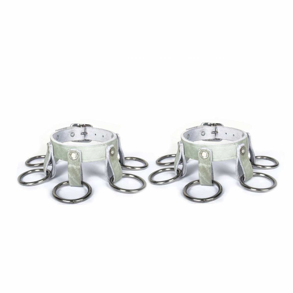 Carriage leg-training rings