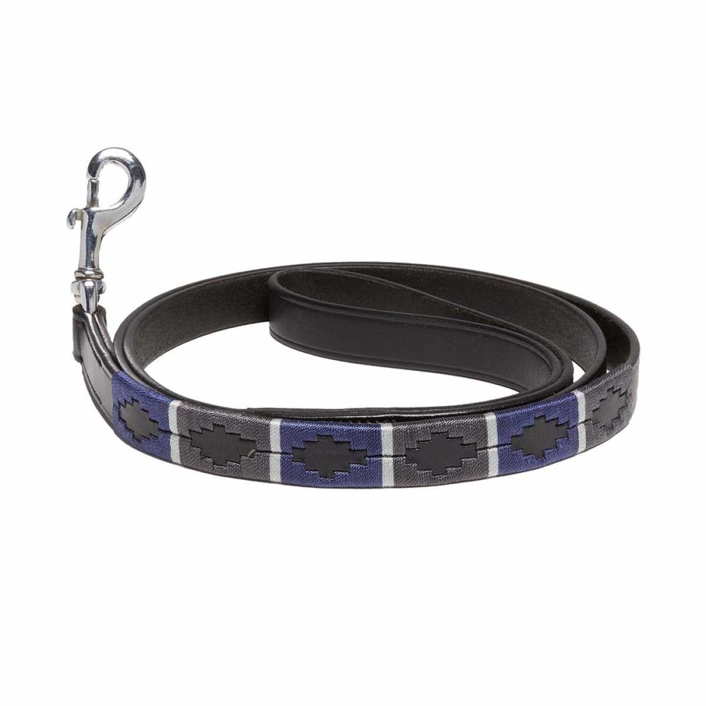 Kieffer Buenos Aires dog leash