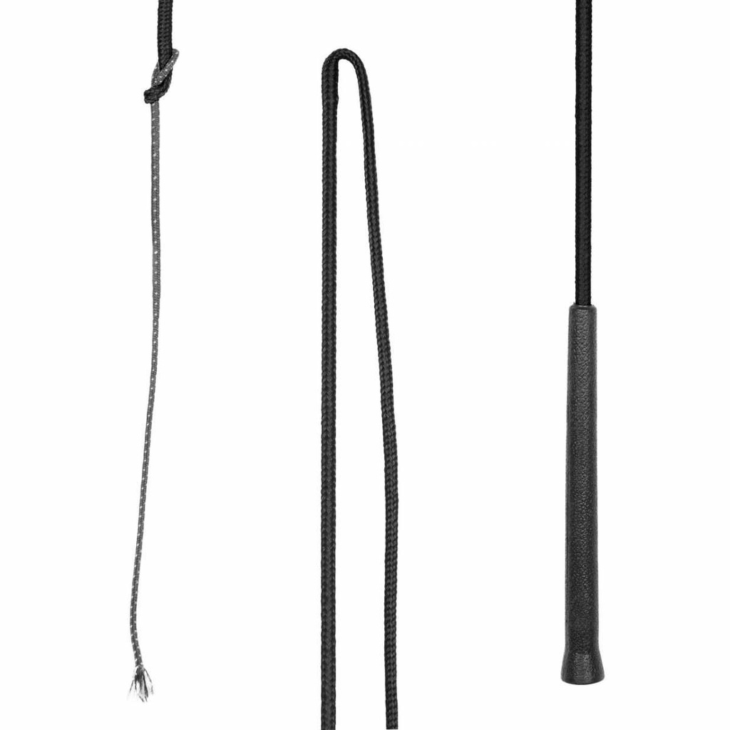 Pagony lungeing whip