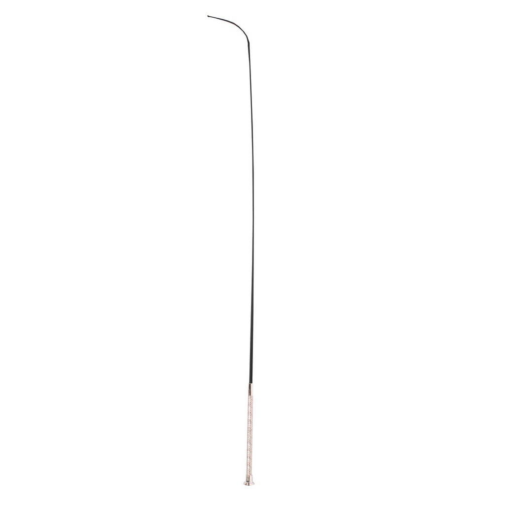 Cavache de dressage Metallic Harrys Horse