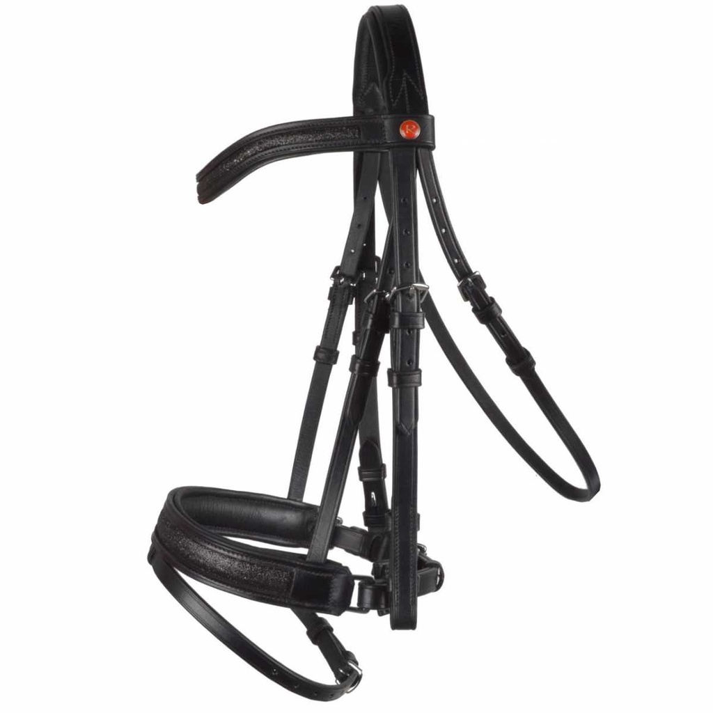 Rossner Shine bridle