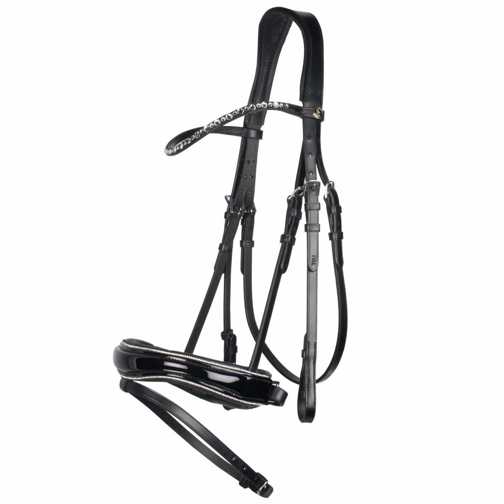 BR Bristol bridle