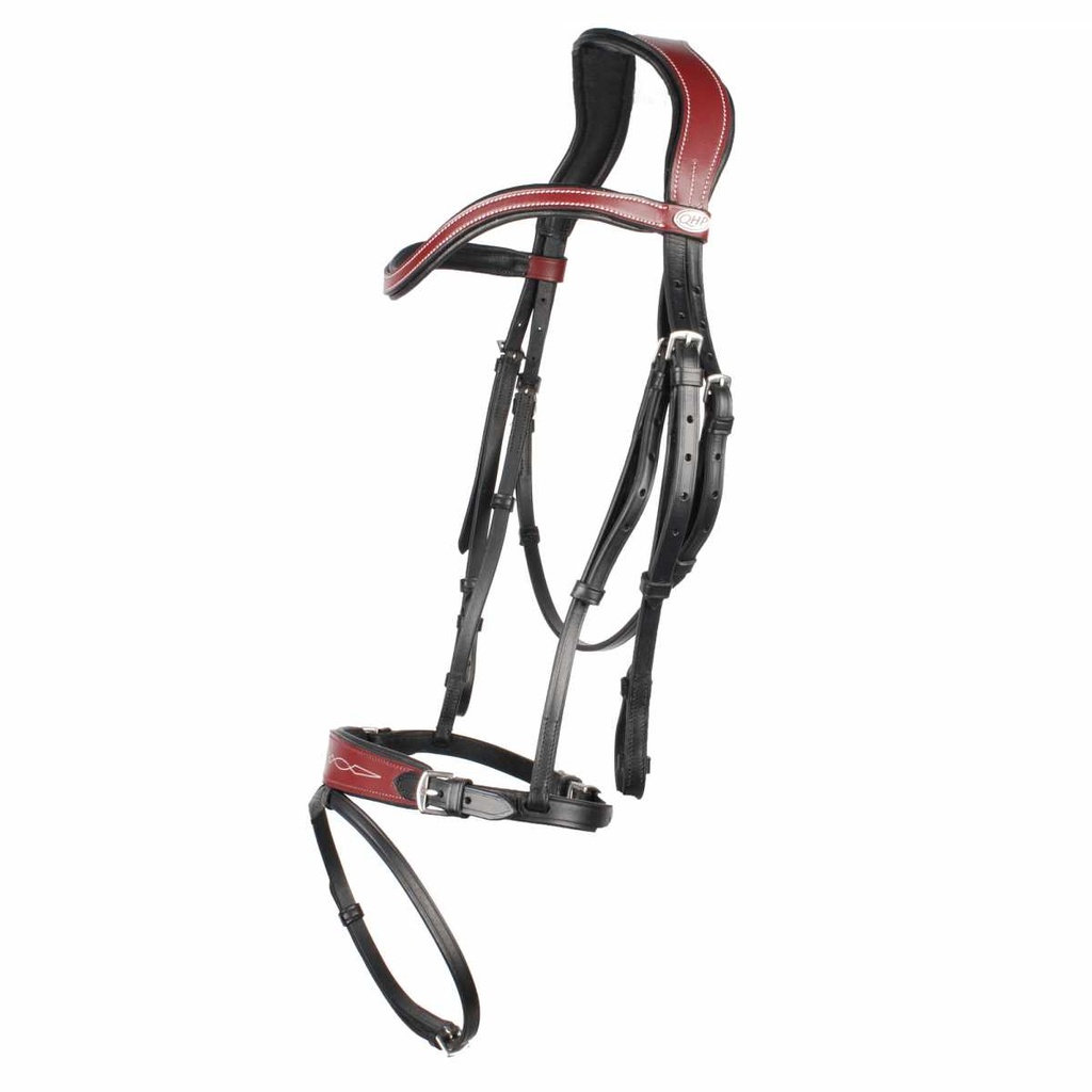 QHP Shiva bridle