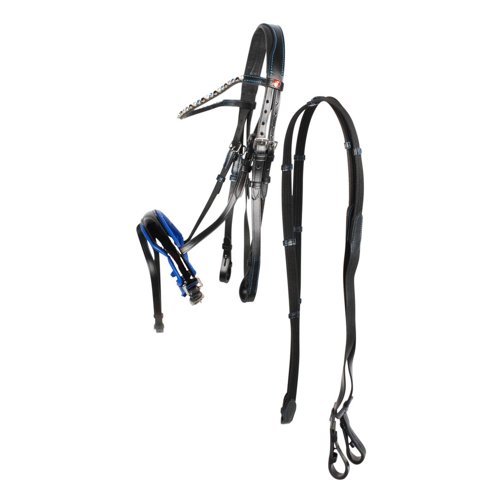 Rossner Lucca bridle