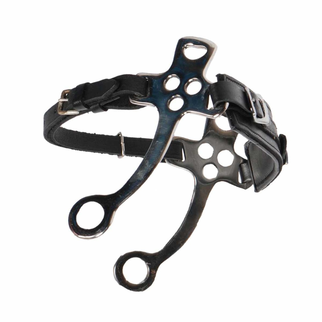 Pagony Hackamore