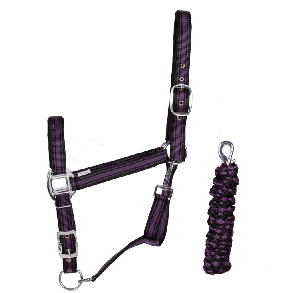 Pagony Tiger Coll22 Halfter und Stricke