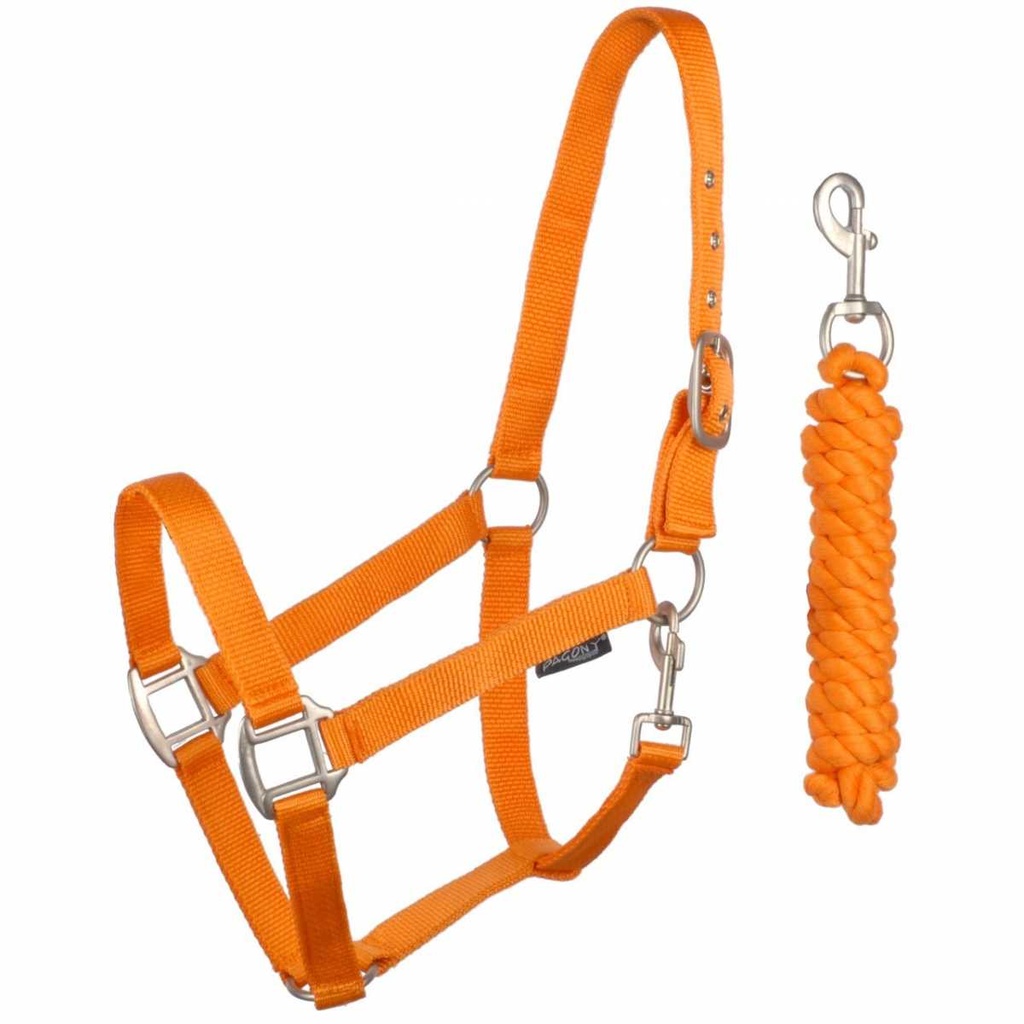 Licol orange Pagony