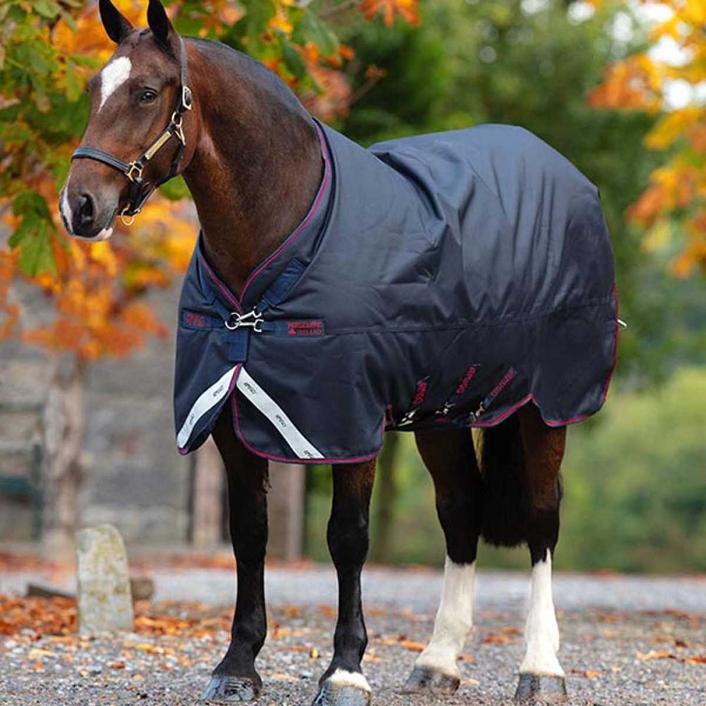 Amigo Bravo XL 12 Turnout Medium