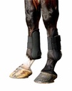 BR Set tendon boots and ball joint boots