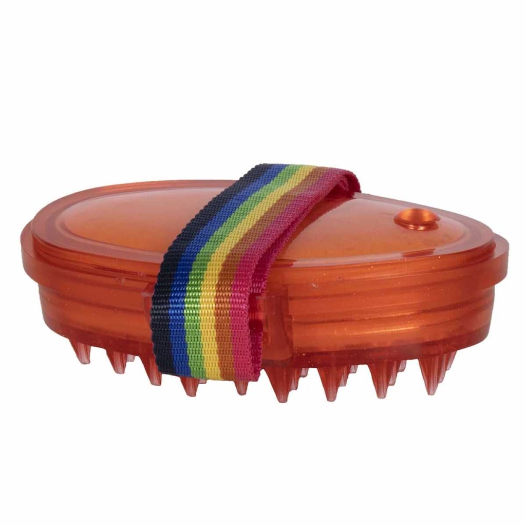 Wasch- und Massagebürste