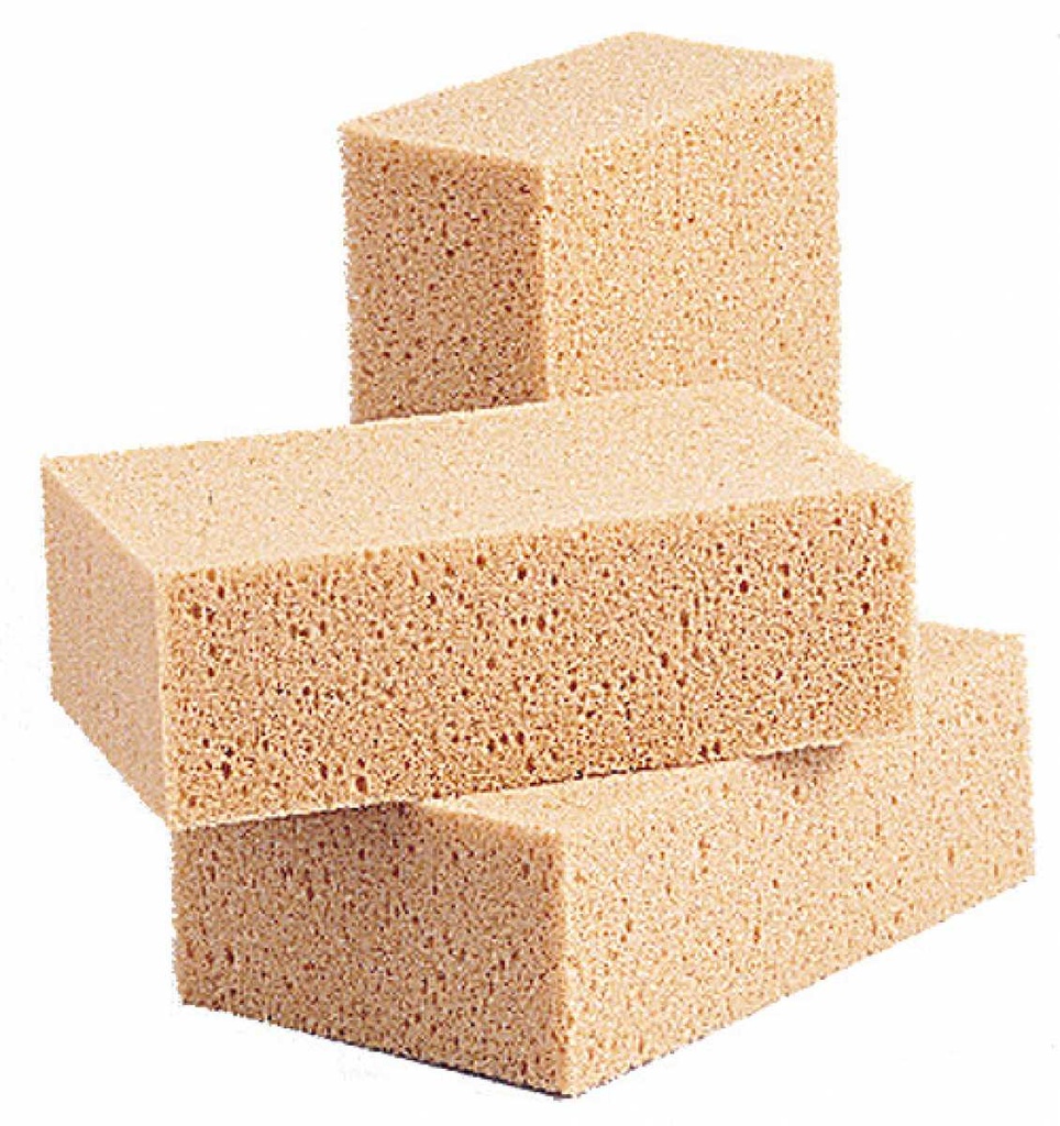 Sponge