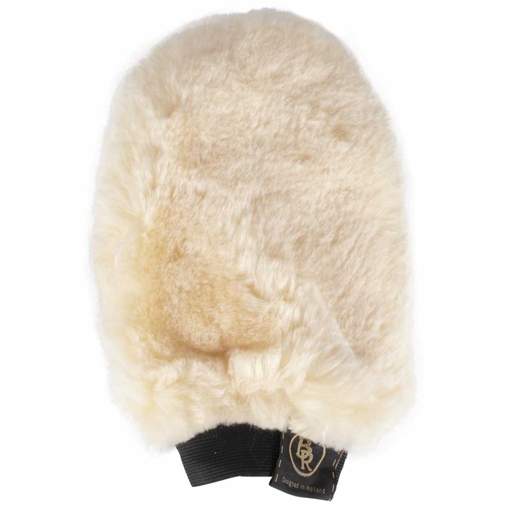 Gant de pansage BR