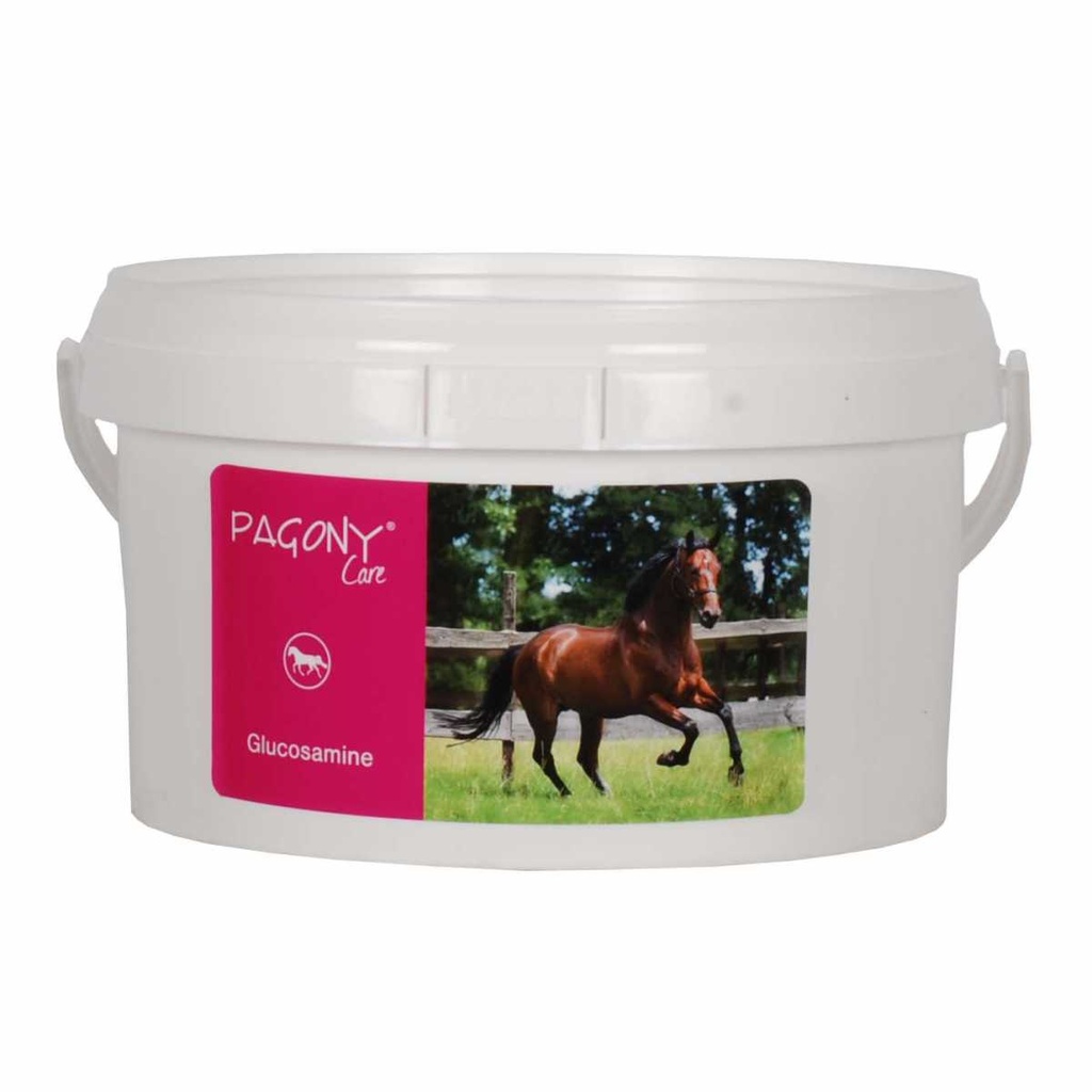 Glucosamine Pagony Care 500g