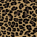 Color: Panther