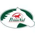 Marke: Primeval