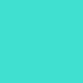 Couleur: Turqoise