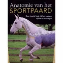 Anatomie des Sportpferd